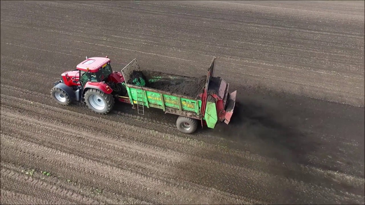 Vaste mest uitrijden / Spreading solid manure / Festmist streuen / Strautmann / Case IH