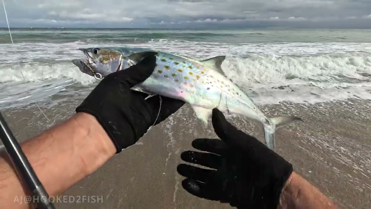 AJ@HOOKED2FISH