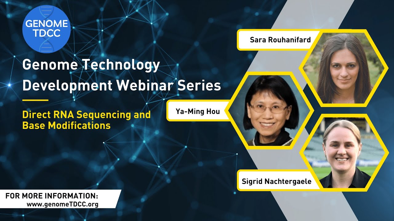 Direct RNA Sequencing and Base Modifications