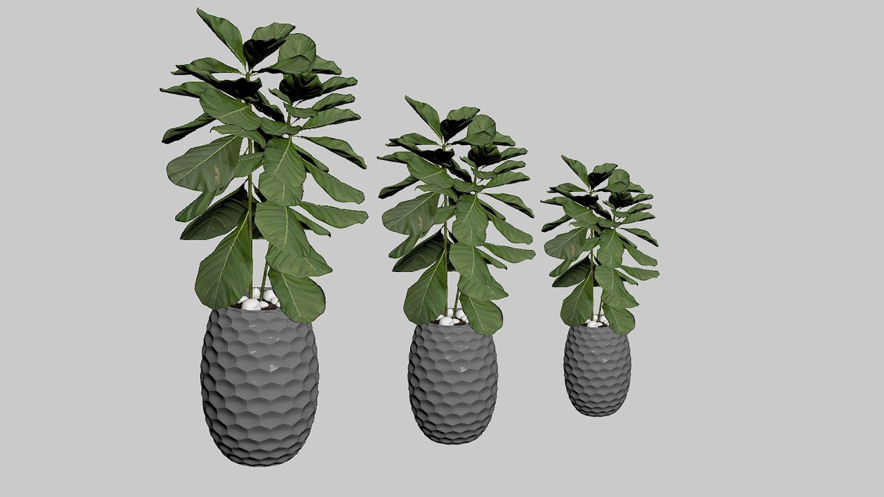 Autodesk 3ds Max  Decorative Plant Pot Modeling ( Decorative Modeling Tutorial )