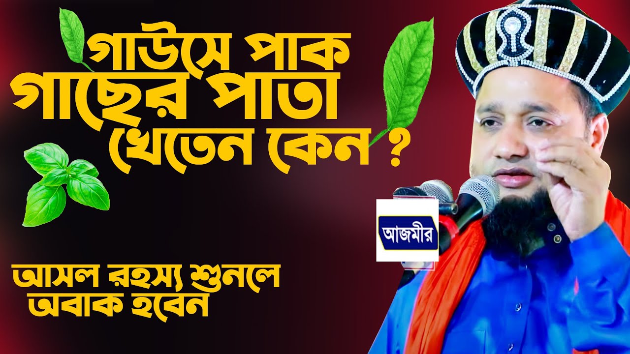 জাহাঙ্গীর হুজুরের নাম্বার 01819-947815 গাউসে পাক গাছের পাতা খেতেন কেন ? । জাহাঙ্গীর হুজুর ।