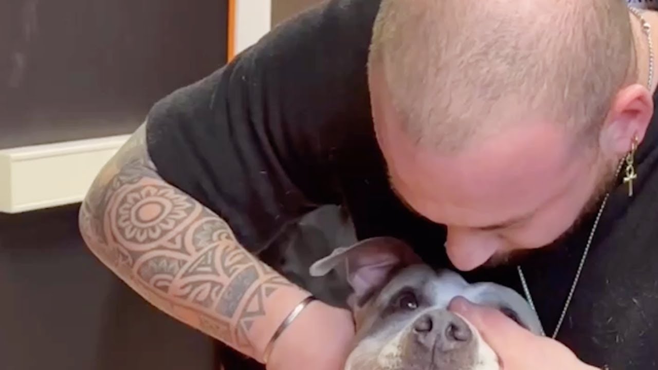 この男性は神の手で動物の身体の悩みを解決してしまう