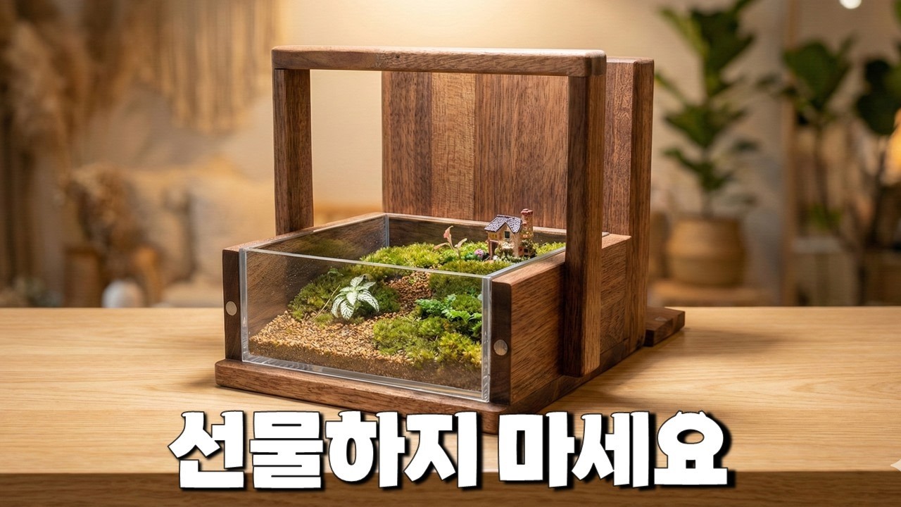 구경하던 친구들이 자기들도 달라고 난리 났습니다.. [도시락 테라리움 제작기]