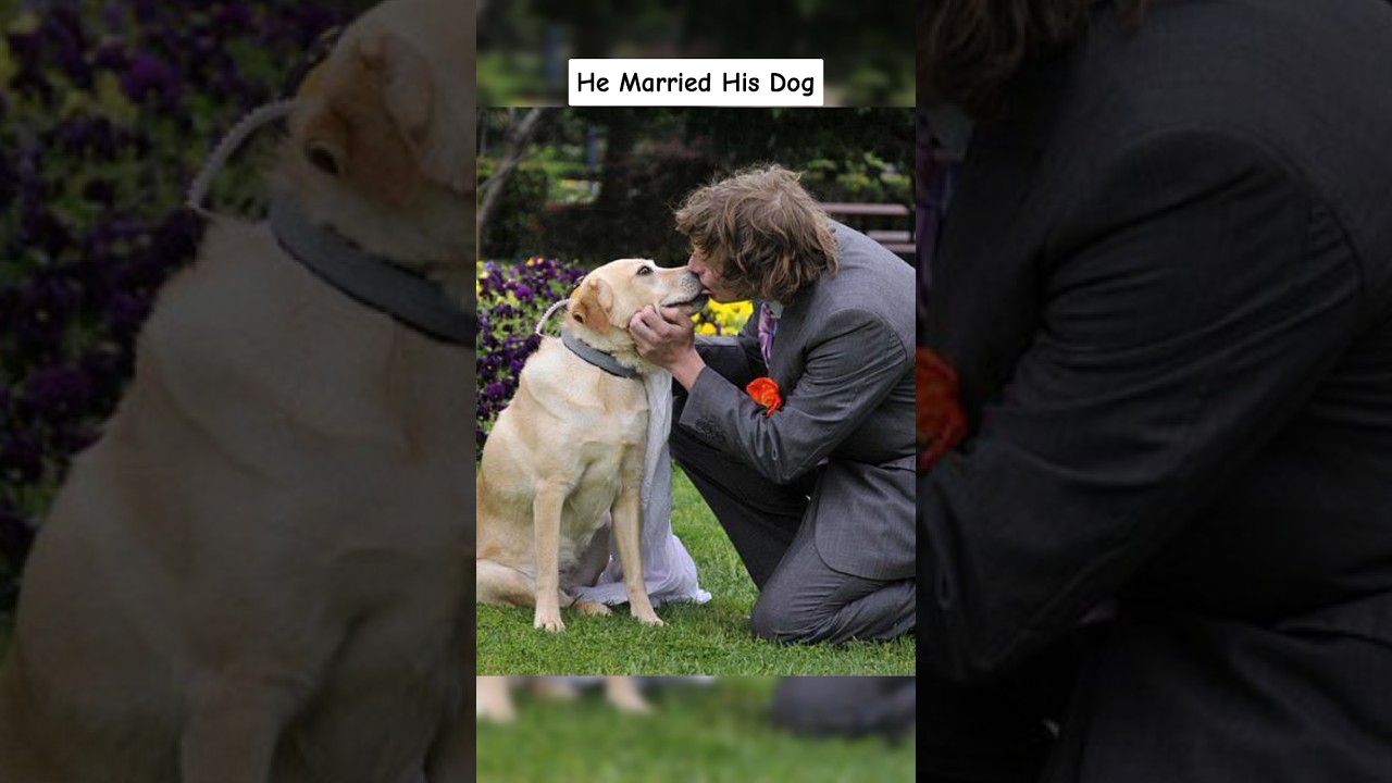 People Who Married Animals..... 😰 #shorts #viral