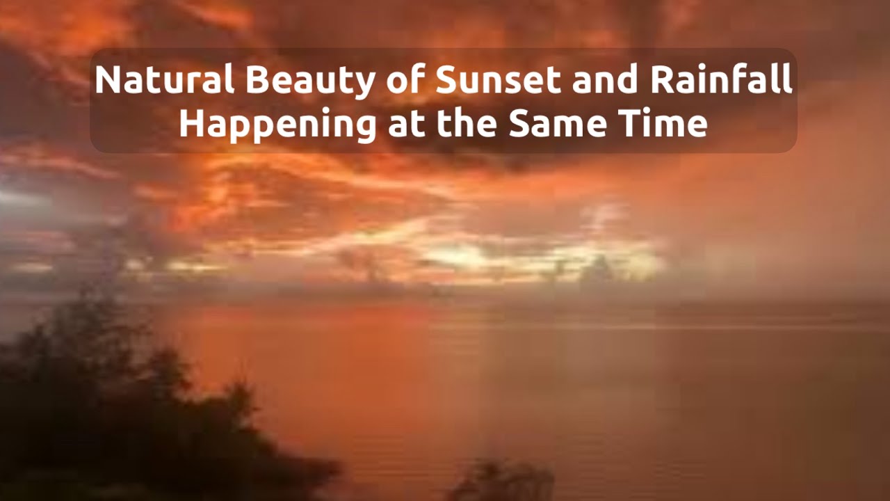 The Most Beautiful Rainfall Over a Golden Sunset in Holbox, Mexico - White Noise (ASMR)