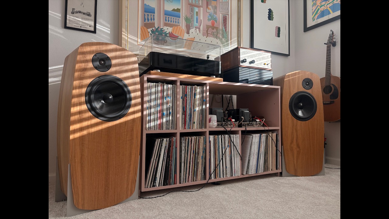 Finally Ready to Unveil My New DIY Speakers and Modified Dynaco MKIIIs!!!