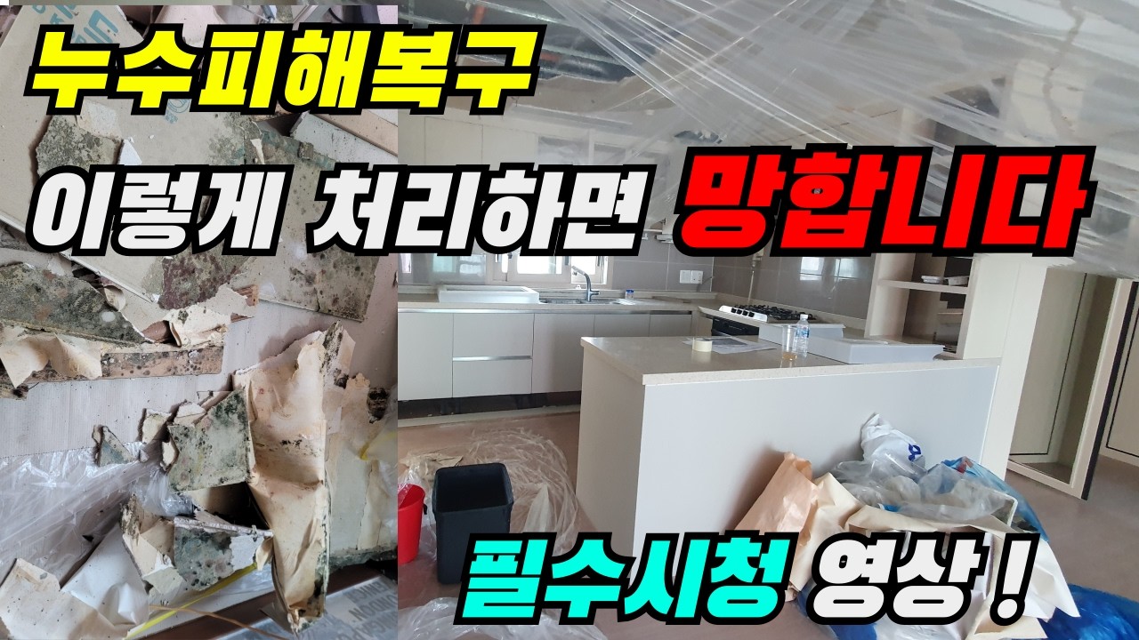 아파트천정누수, 피해복구는 이렇게 해야합니다. 누수인테리어 누수보험처리
