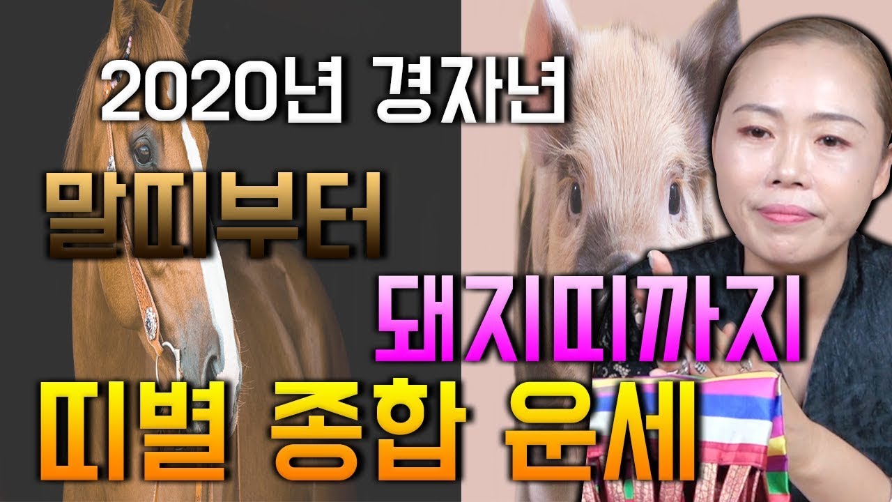 [2020년 띠별운세] - 2탄 말띠 양띠 원숭이띠 잔나비띠 닭띠 개띠 돼지띠 2020년 운세 띠별로 공개합니다 어떤 띠가 대운이 들어올지 확인해보세요