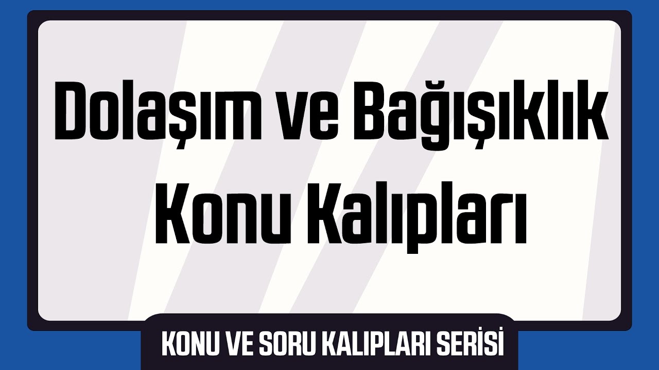 45 Dakikada Tek Video Tüm Dolaşım ve Bağışıklık Sistemi