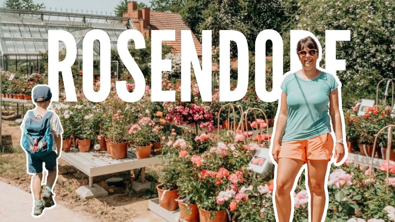 Ein Tag im Rosendorf Steinfurth inkl  Rosenwanderung & Rosenschule | Vlog #228 | TAUNUS 🇩🇪