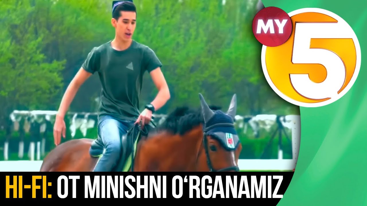 Hi-Fi: Ot minishni o‘rganamiz