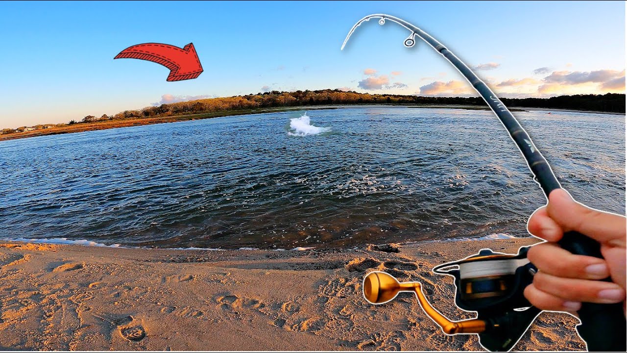 Surf Fishing for New BEACH Species and it Got CRAZY!! (Cape Cod)