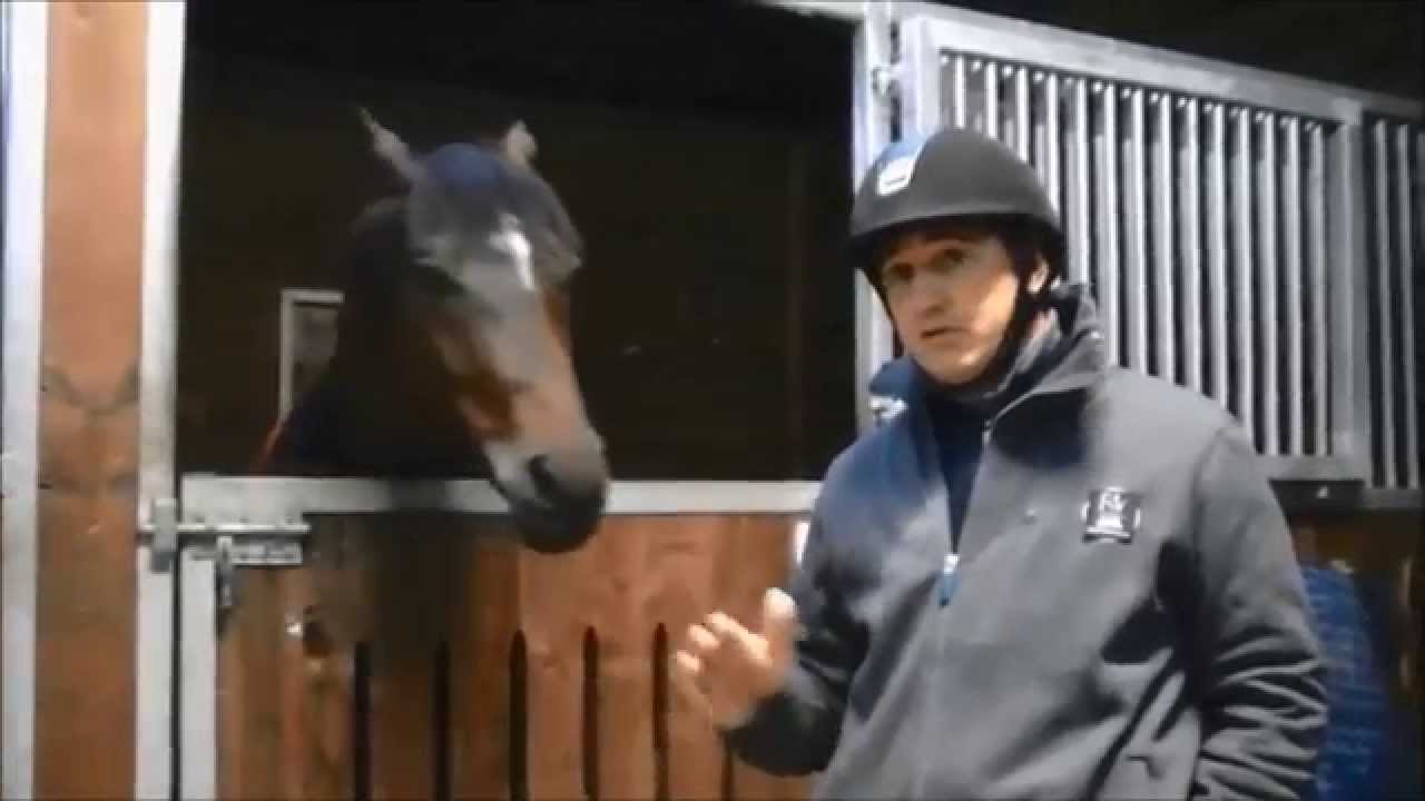 Présentation de maîtres de stages MFR Bournezeau