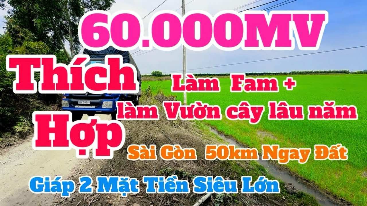 (Số 890) Siêu Phẩm Giá Rất Miềm 💥60.000MV Giáp 2 Mặt Tiền/ Lô Đất Cưc Đẹp Tại Thạnh Hoá 