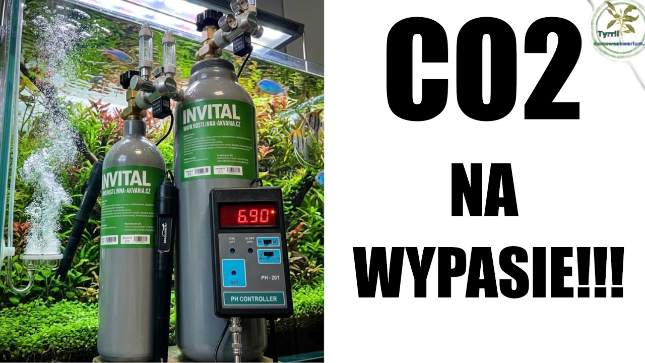 Wypasiony Zestaw CO2 z Komputerem | Jak podłączyć i uruchomić? 🌿🚀💻
