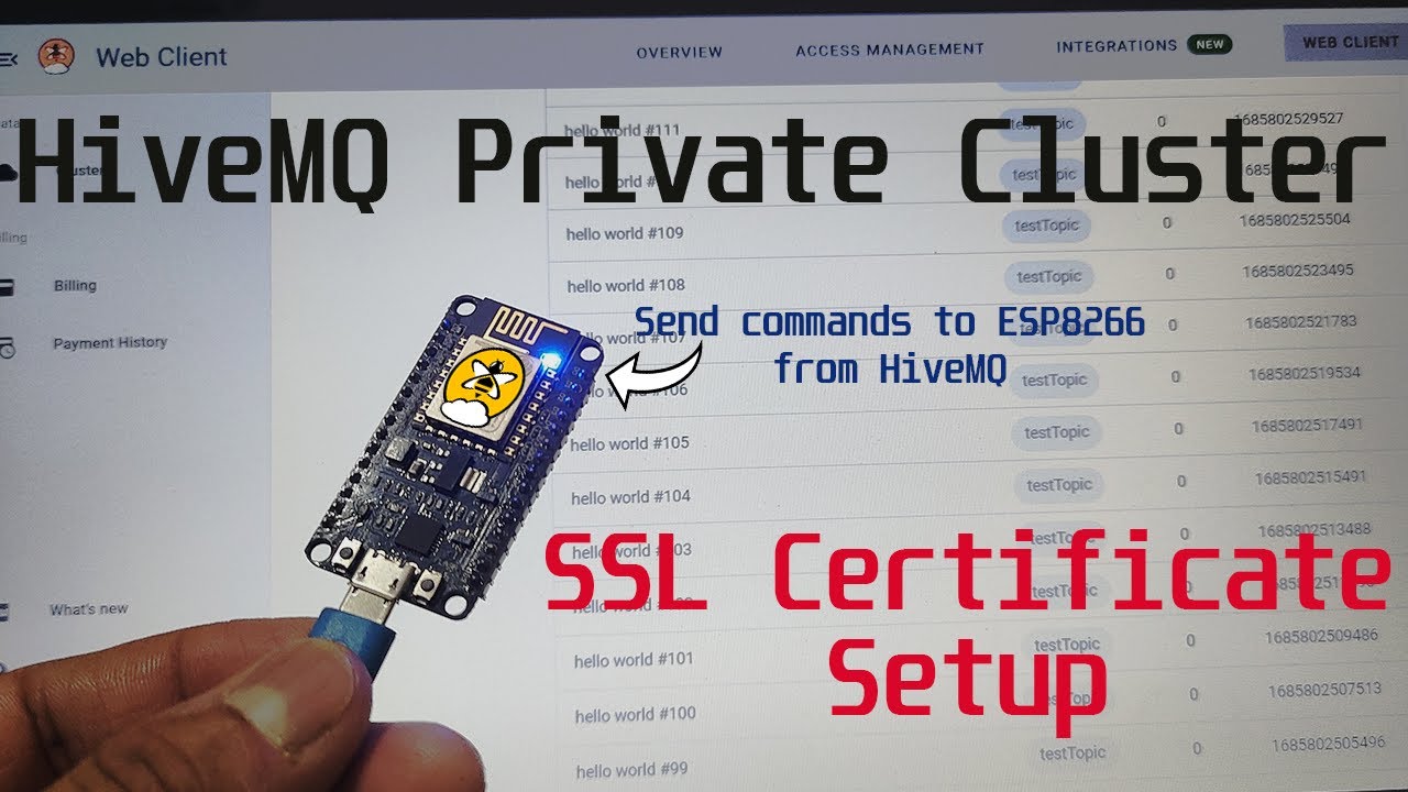 Setting Up HiveMQ Private Cluster SSL Certificate | ESP8266 | MQTT | SkillSheen