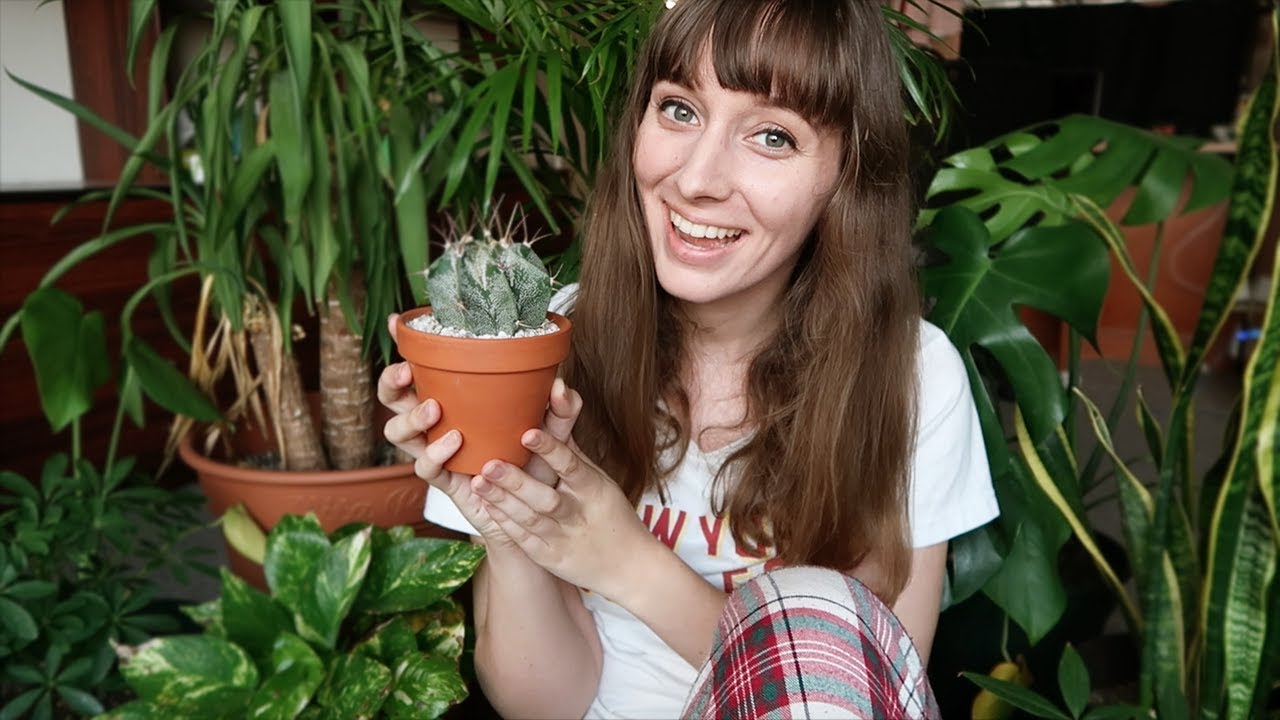 My House Plant Tour! + Hamster updates
