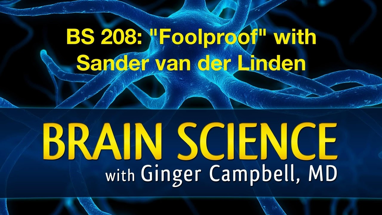BS 208 