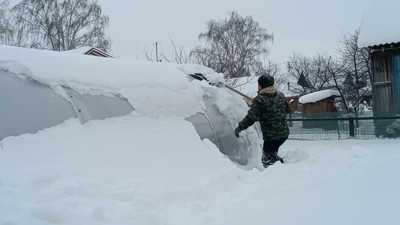 2 февраля 2026 г.Фиаско пирога с ревенем.Все мои 7🐱,кто спрашивал, вот они.И снова снег..Обедаем.