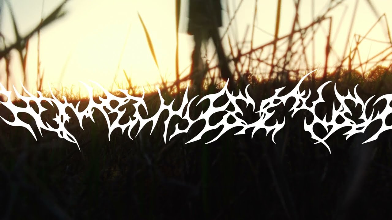 Ryan Hall - HOMEWRECKER (official lyric video)