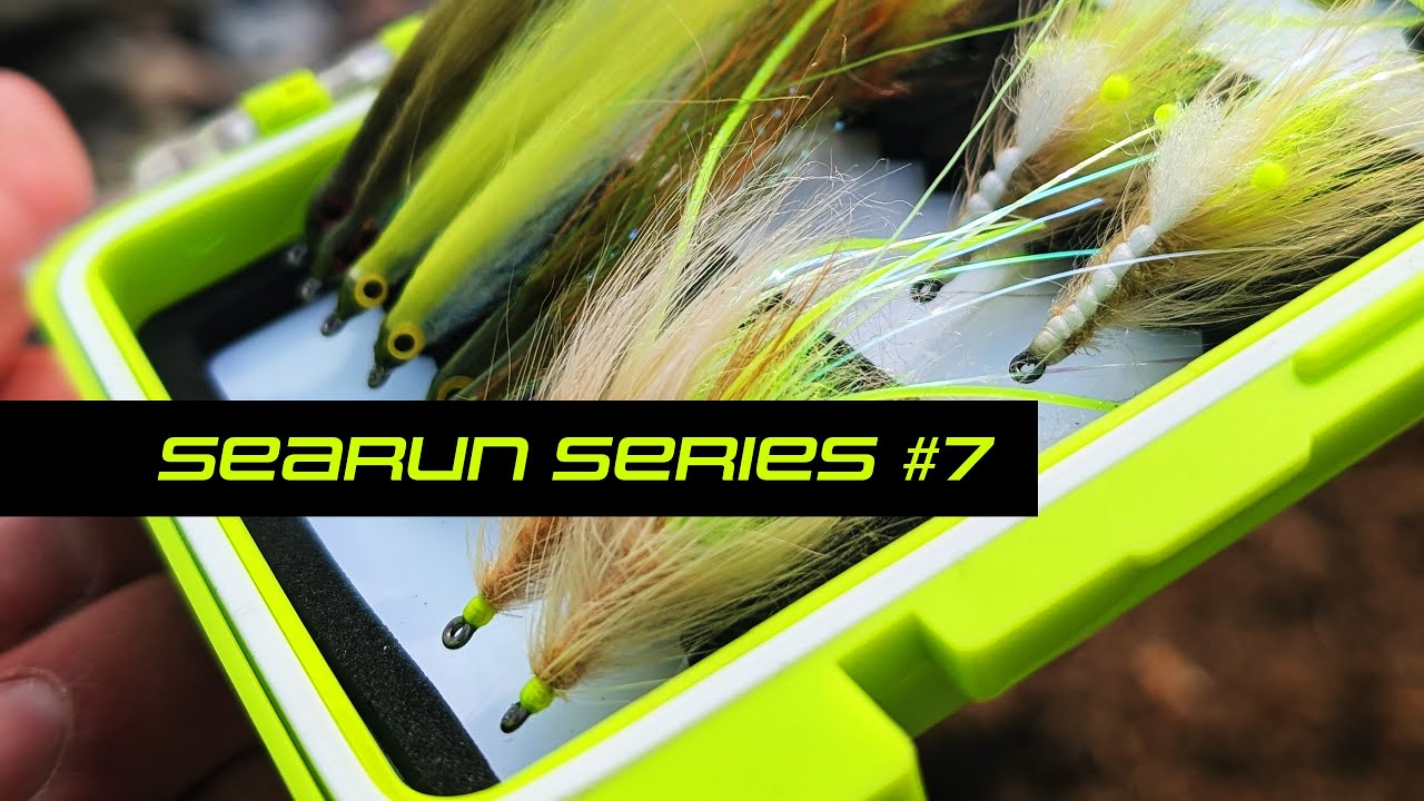 SEARUN Series - Episode 7 - Against the Odds