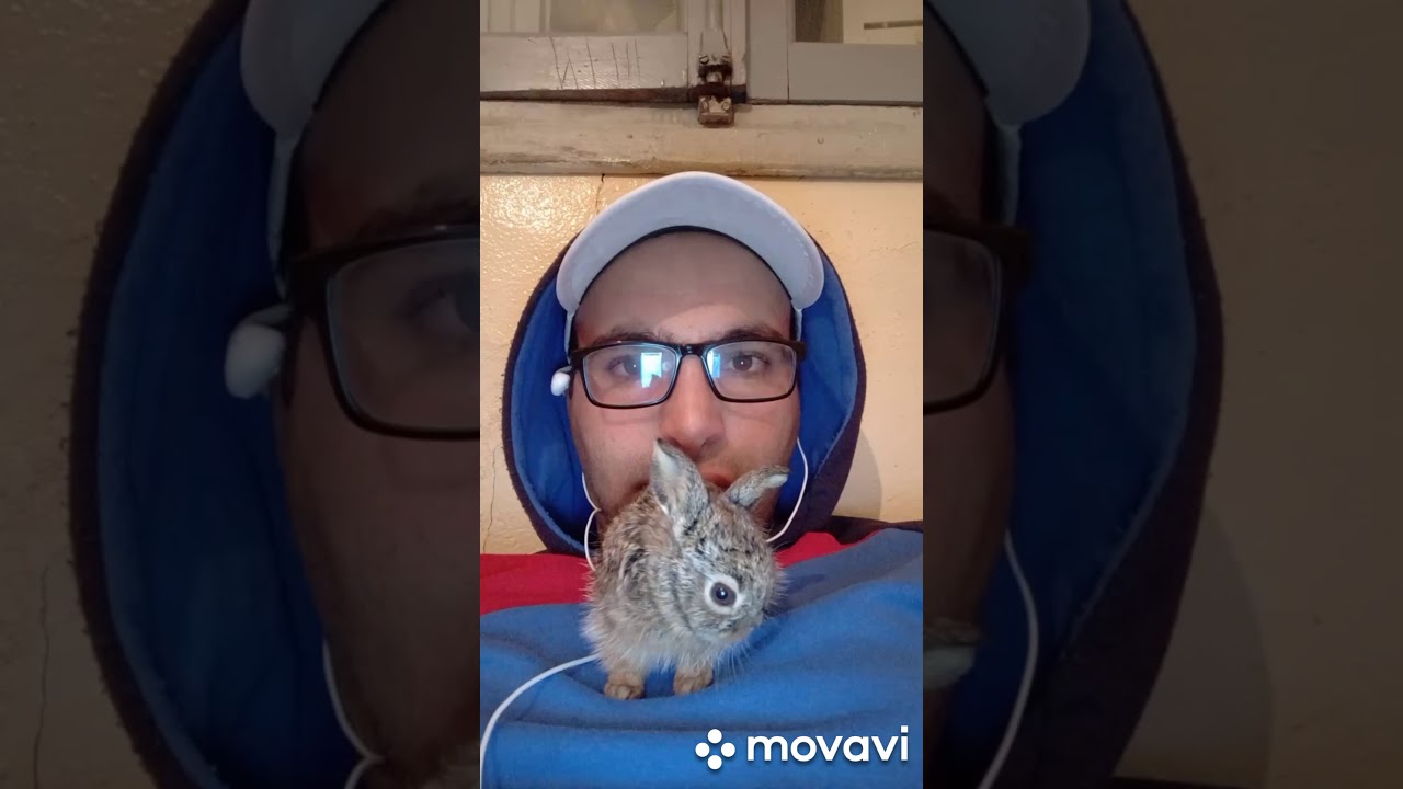 تربية أرنب بري في المنزل مند ولاداته