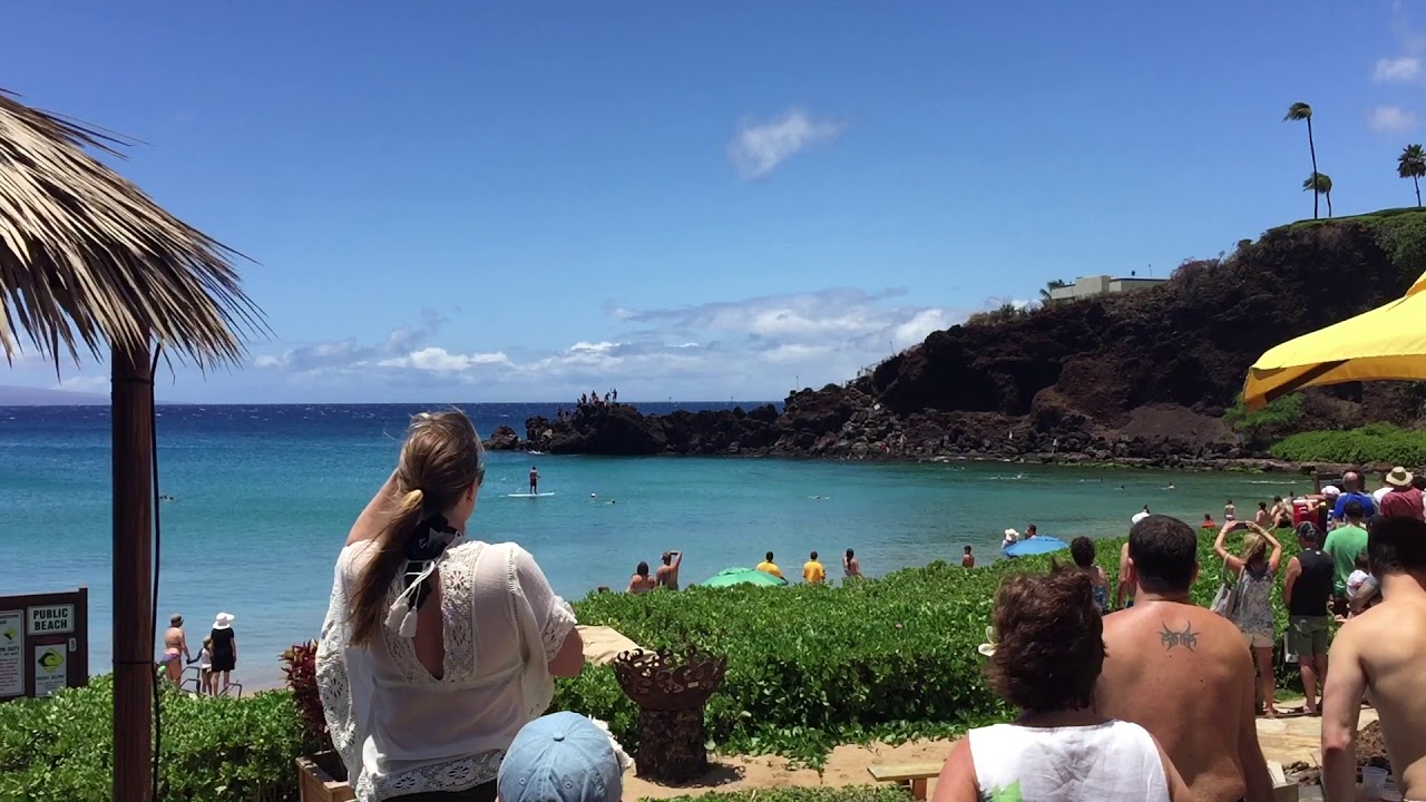 Tiger Shark - Kaanapali Hawaii