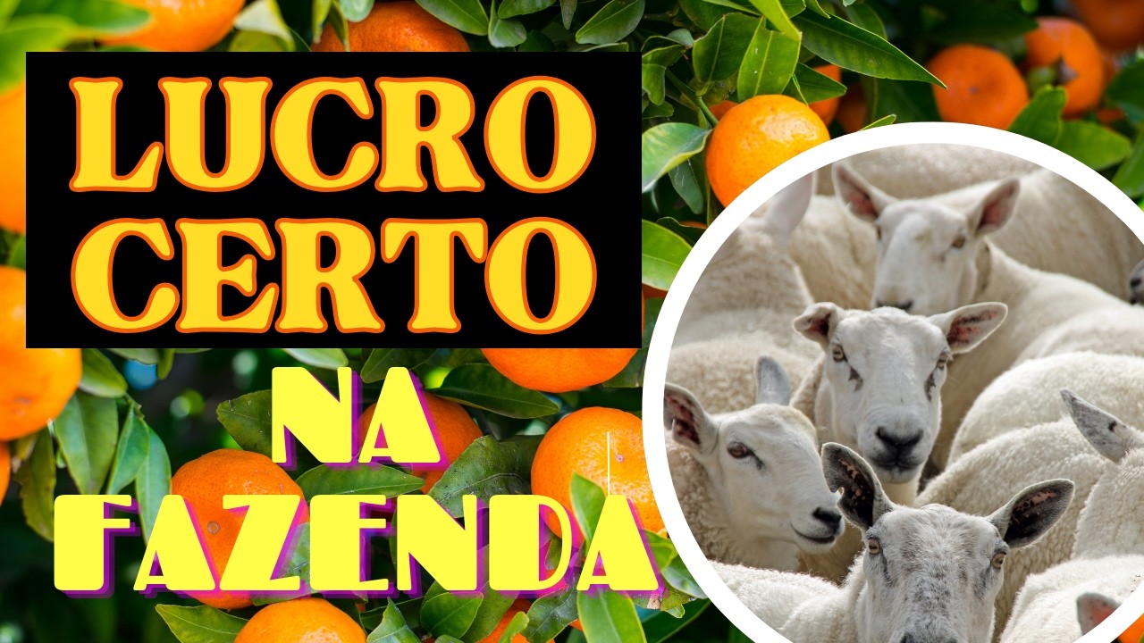 Como ganhar dinheiro com AGRICULTURA e PECUÁRIA: estratégias com risco mínimo e ganho máximo