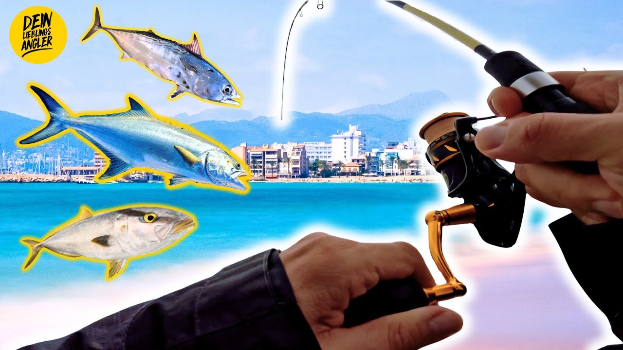 Was fangen wir am Badestrand auf Mallorca? (Angeln mit dem Oder Spree Angler)