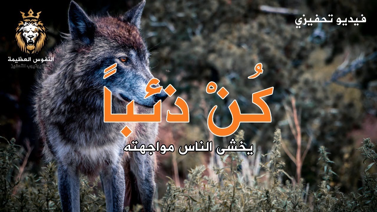كن ذئبا - فيديو تحفيزي قوي - يجدر بنا السماع في صباح JDIJOO I
