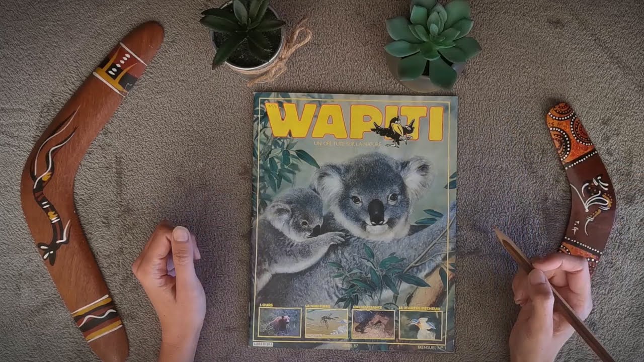 ASMR - Lecture chuchotée 📖- Magazine flip through 🐨🌳