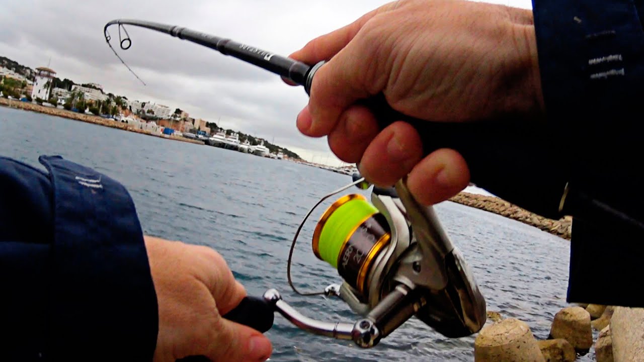 SPINNING -pesca asi y siempre cogeras mucho pescado- [TRUCO EXPLICADO]