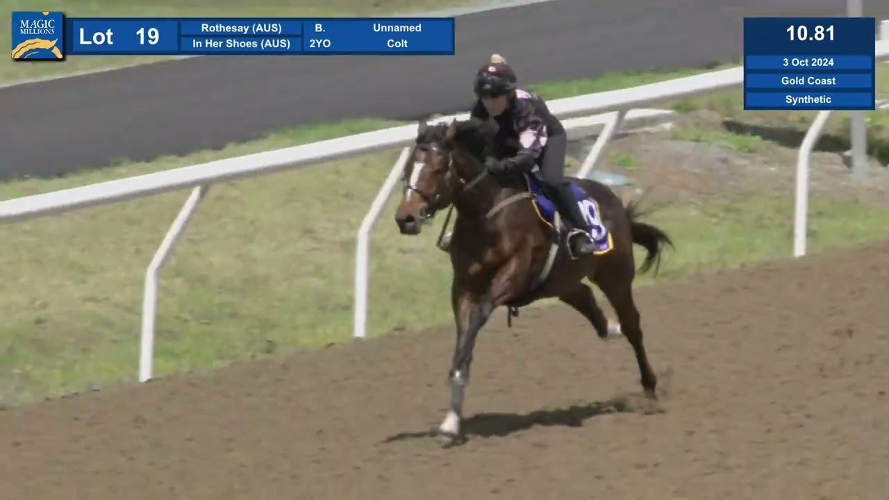 Lot 19, 2024 Magic Millions Gold Coast Horses In Training Sale