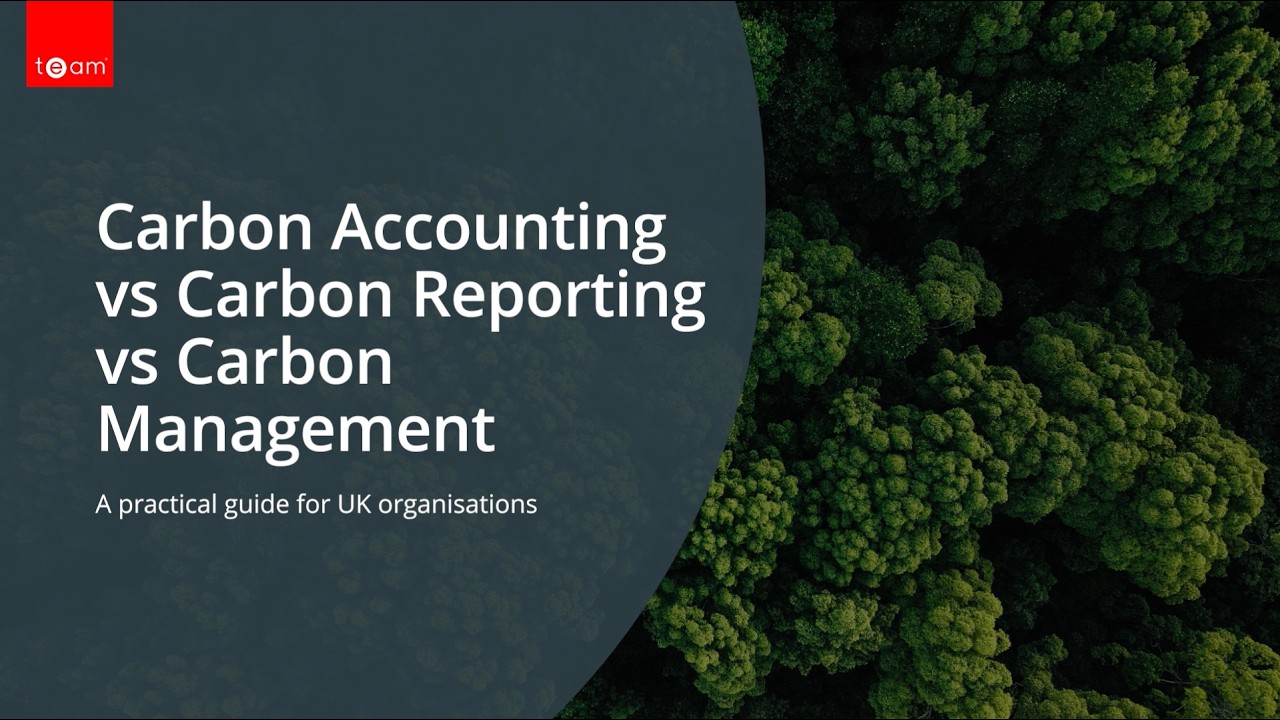 Carbon Accounting vs Carbon Management vs Carbon Reporting Software | What Is the Difference?