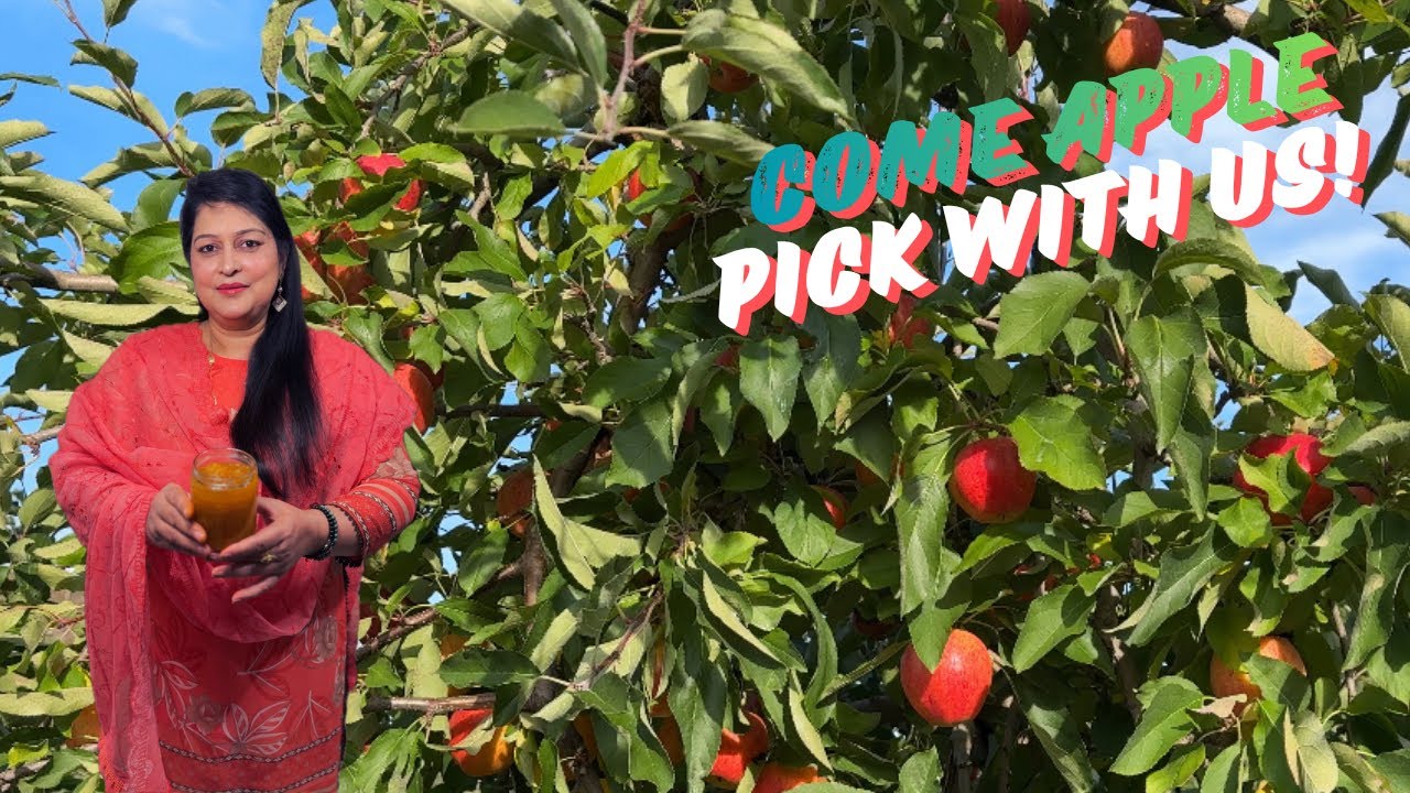 Apple Picking ka Din 🍎 Hamari Family ke Saath | Nergis Cuisine