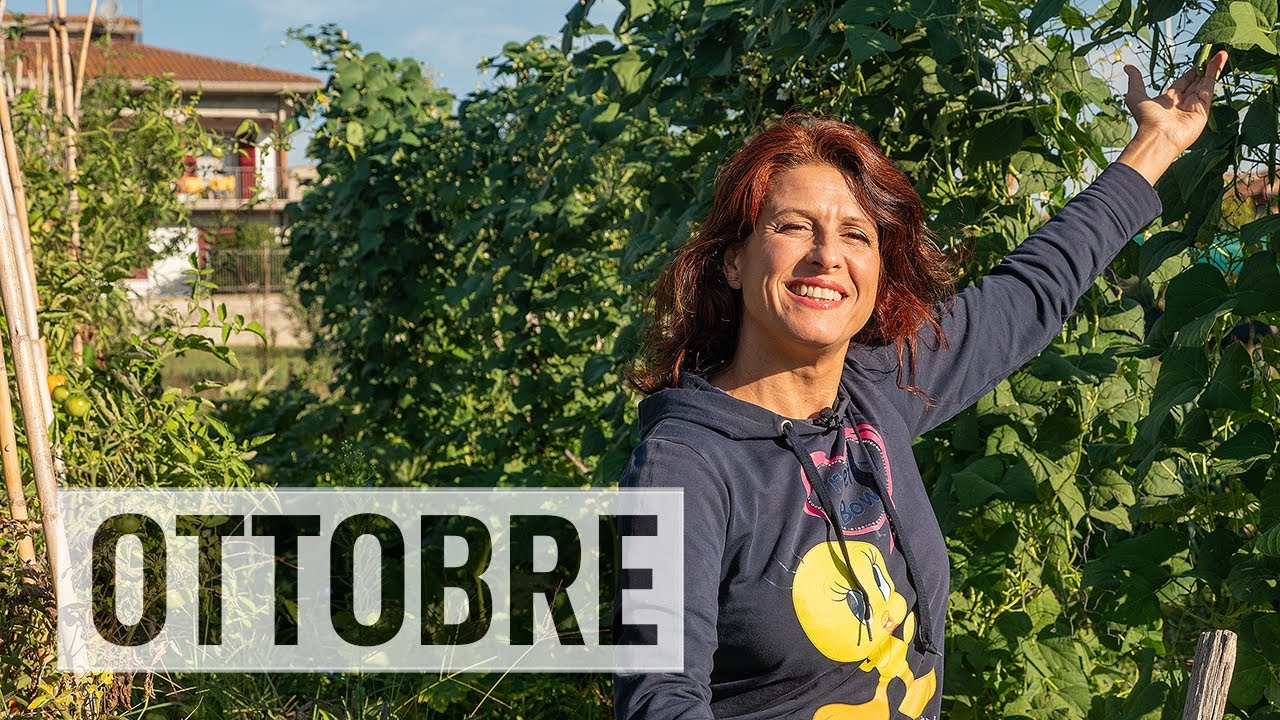 Orto a OTTOBRE. Semine e lavori del mese🌽