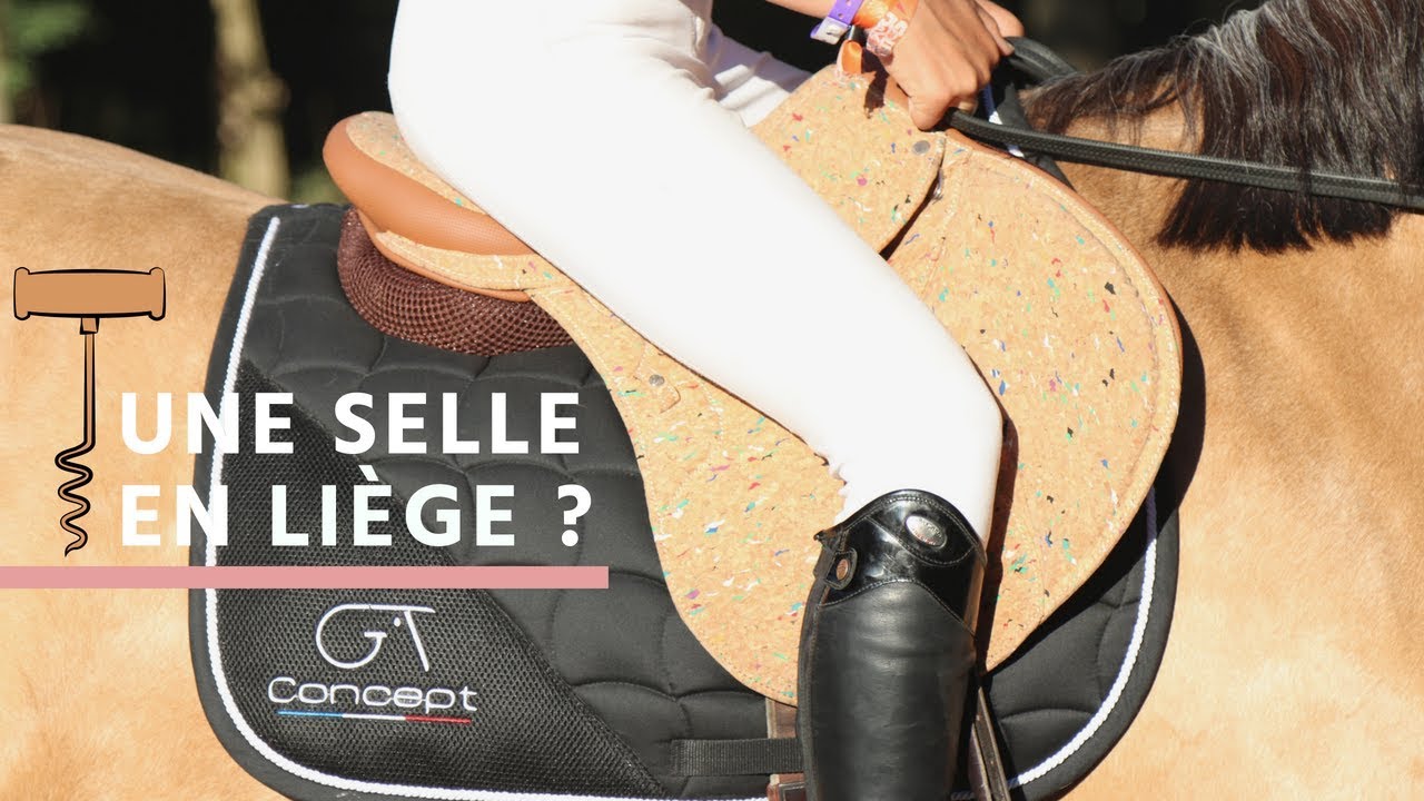 Une selle... EN LIÈGE ? 🤔🍾🐴