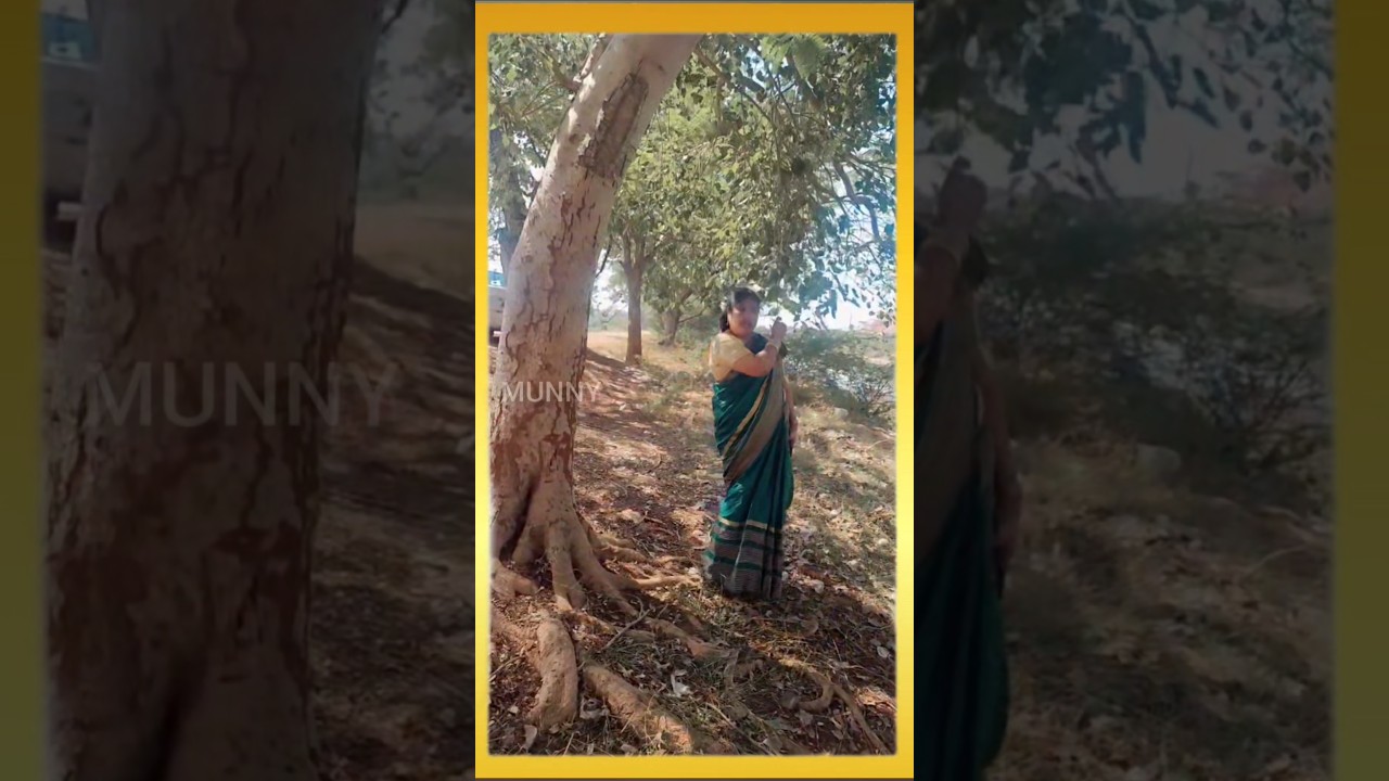 Komma kommako Sannayi 🤩🤩By Munny 🤩🤩@munny6 🤩🤩shortsfeed#viral shorts # trending shorts