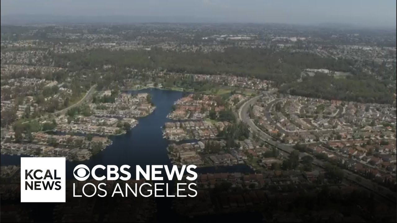 Lake Forest | Look At This!