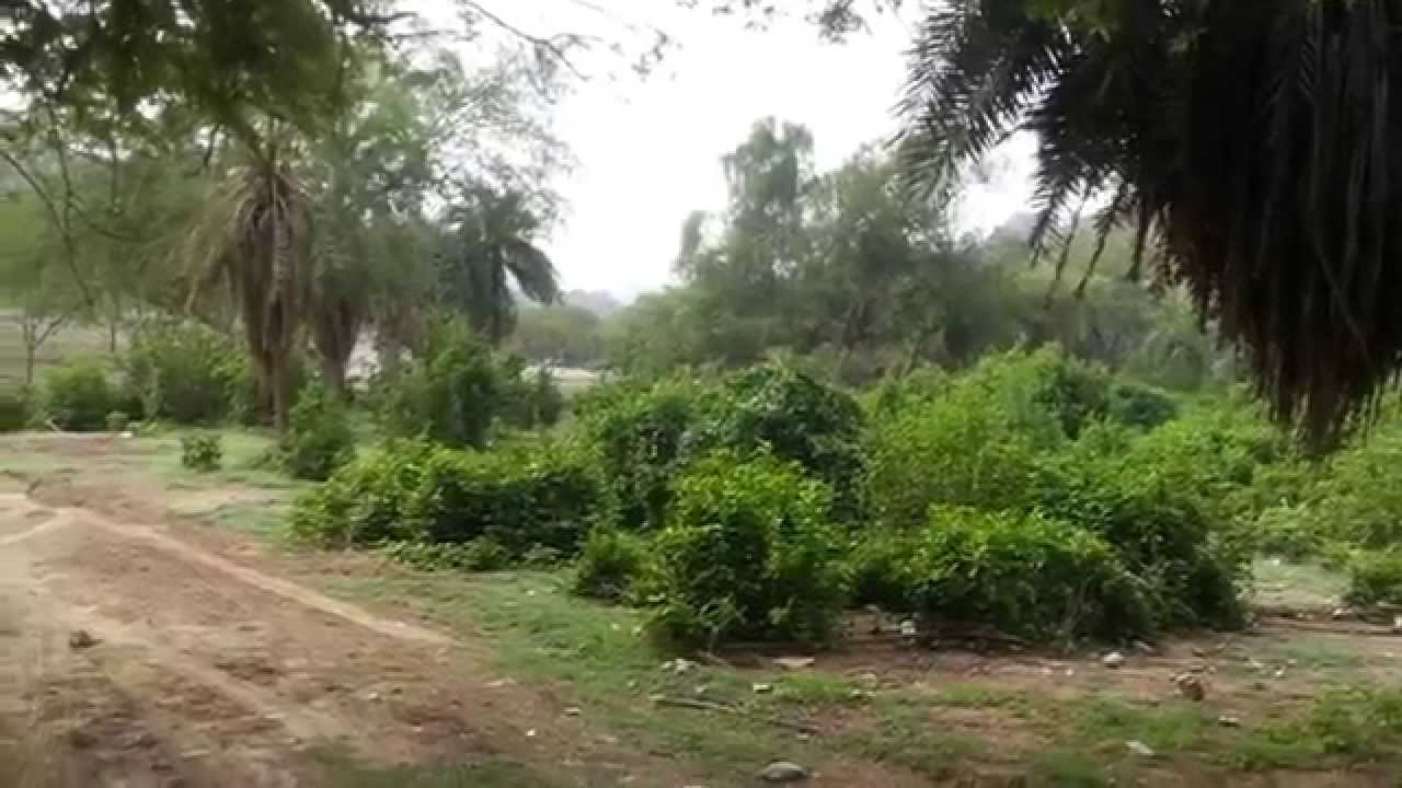 رحلة إلى قرية الأهمال / رجال ألمع