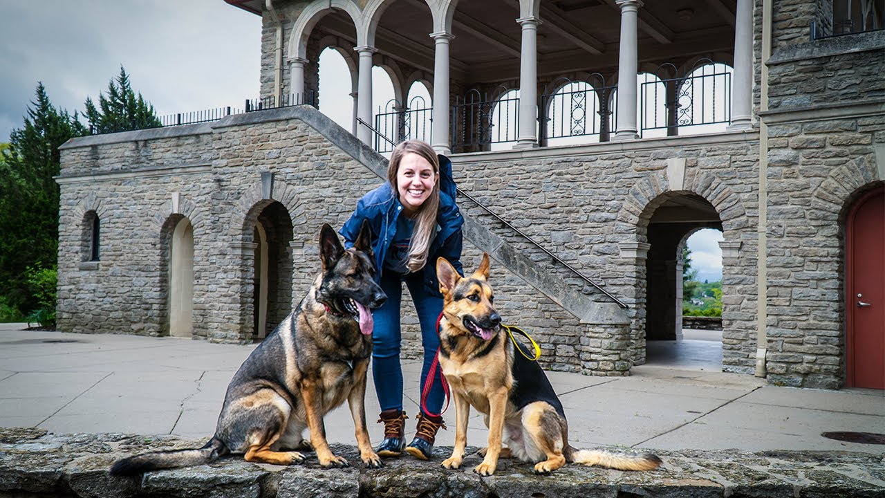 GERMAN SHEPHERDS VIST EVERY PARK IN CITY! Wifey Tags Along to See.