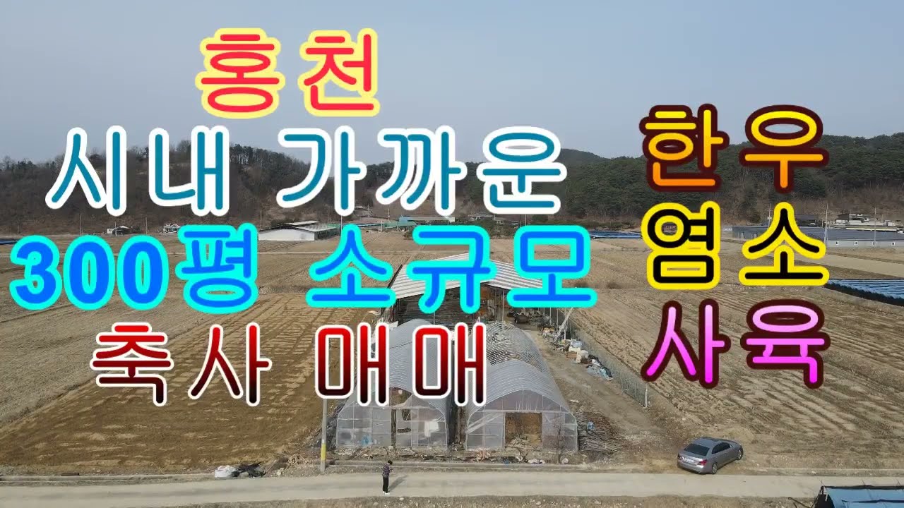 홍천 시내 가까운 300평 소규모 축사 매매 한우 염소 사육 좋음 1억9천만