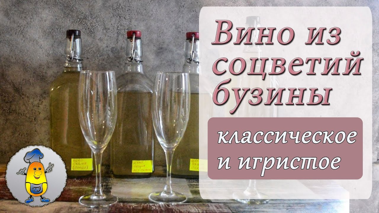 Вино из цветков бузины: как приготовить правильно - рецепт в домашних условиях