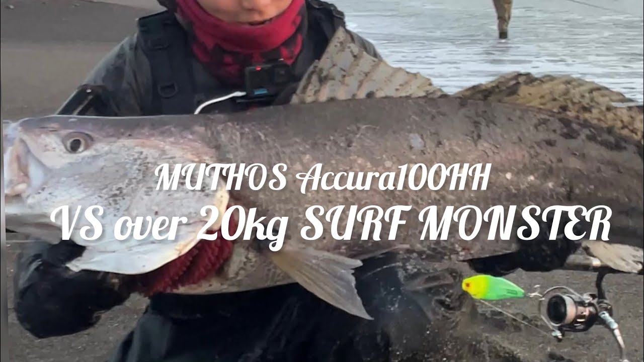 The biggest fish on the SURF in my life 【MUTHOS Accura100HH vs MULLOWAY】