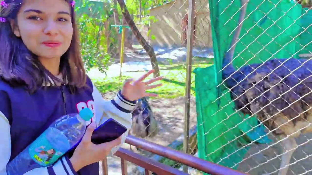 TIGER,BIRD,SNAKE jaldi dekho. #vlog #myfirstvlog #youtube #souravjoshivlogs