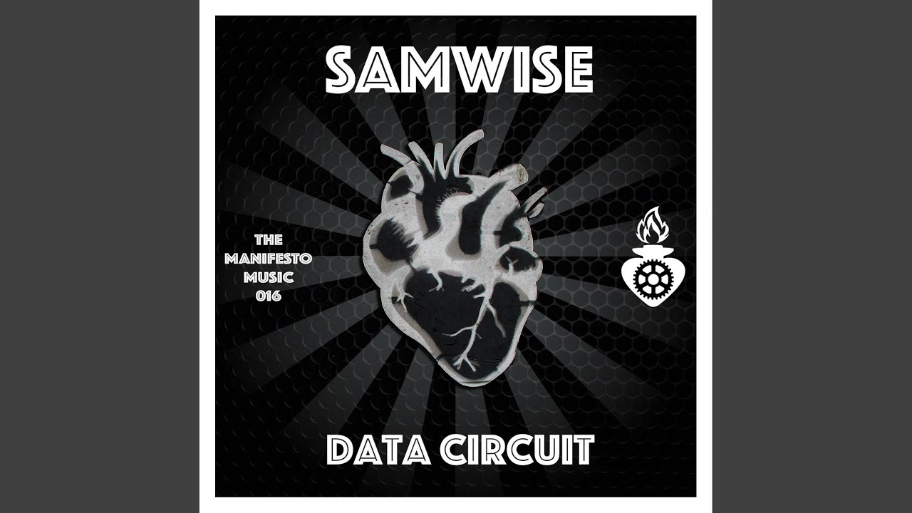 Data Circuit