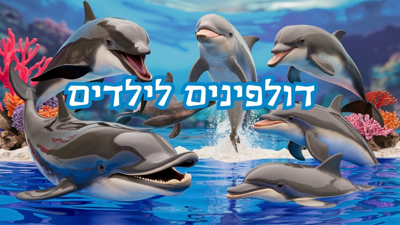 דולפינים לילדים חיות לילדים דולפין 🐬 דולפינים קופצים בים עולם המים לילדים