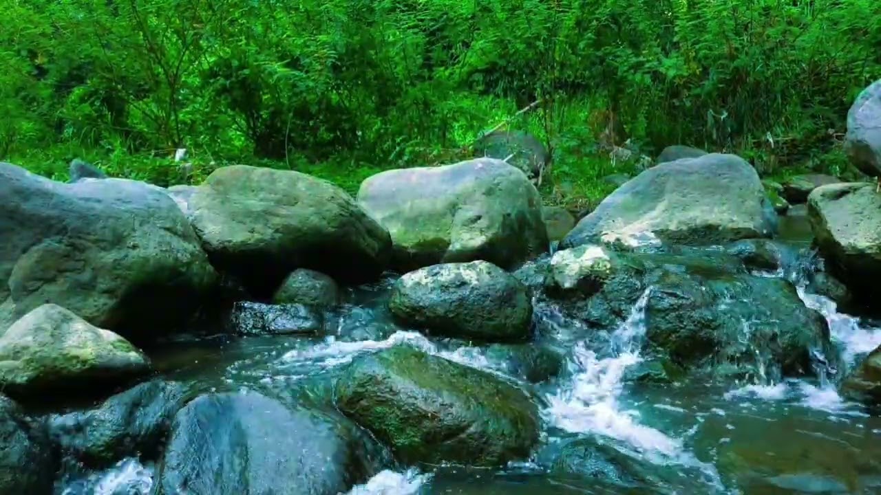 4 Hours Peaceful River Sounds & Green Forest ASMR | Deep Sleep & Relaxation