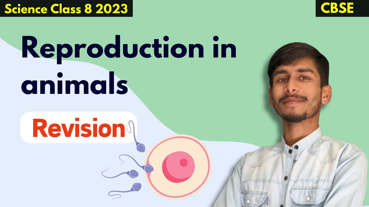 Revision 😎 | Reproduction In Animals Class 8 Science | Class 8 Science Chapter 6 NCERT