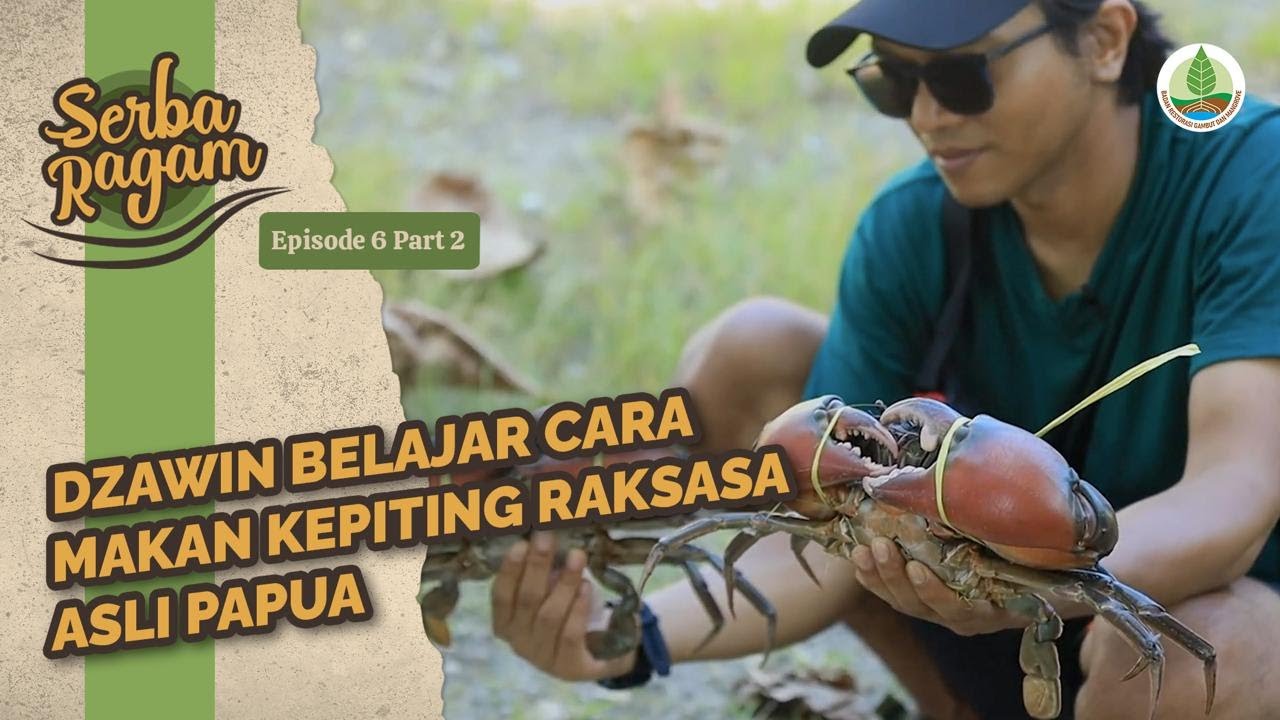#SerbaRagam6 Part 2 Dzawin Belajar Tanam Mangrove dan Makan Kepiting dari Habitat Alaminya di Papua
